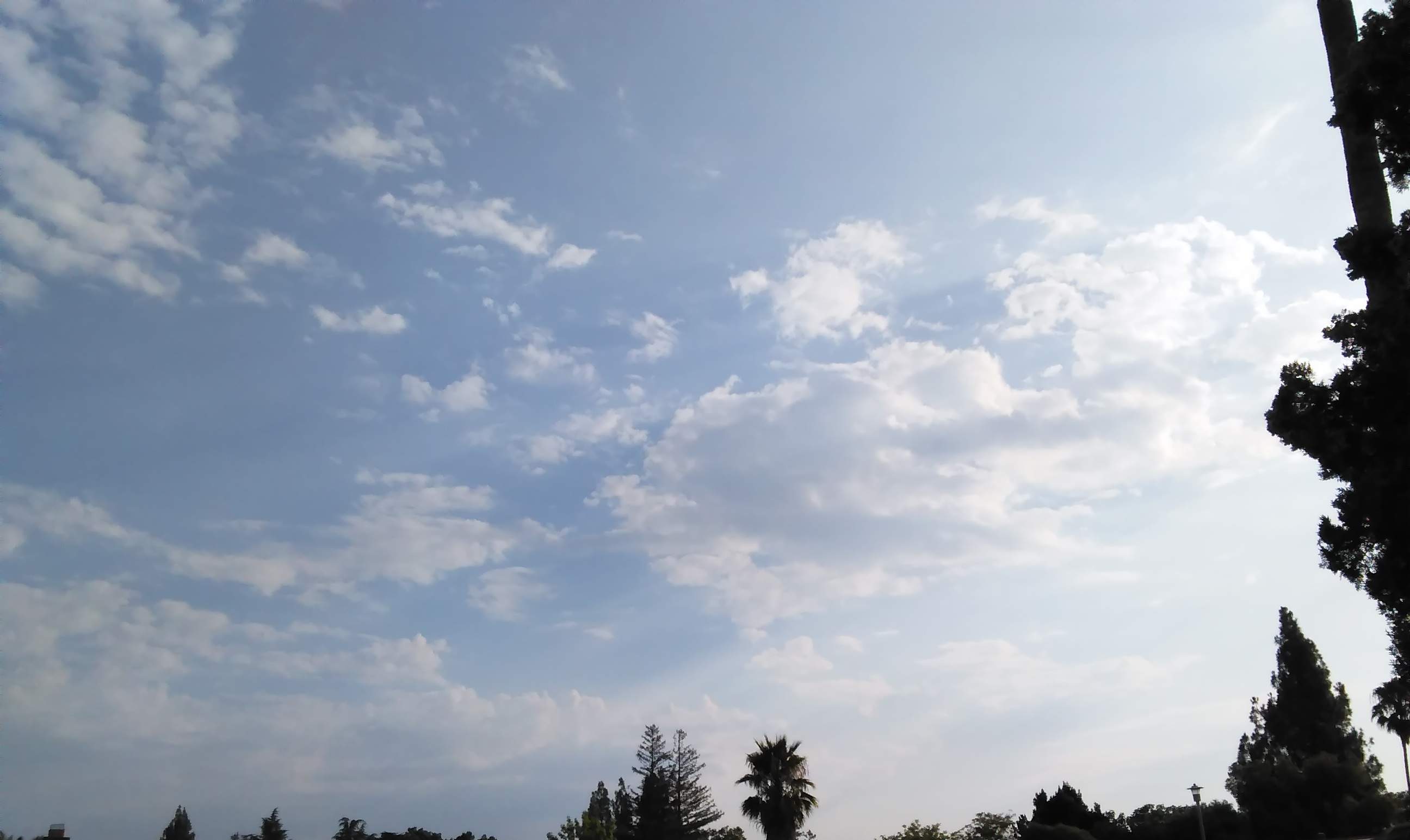 Clouds 1 - 8-14-2018.jpg