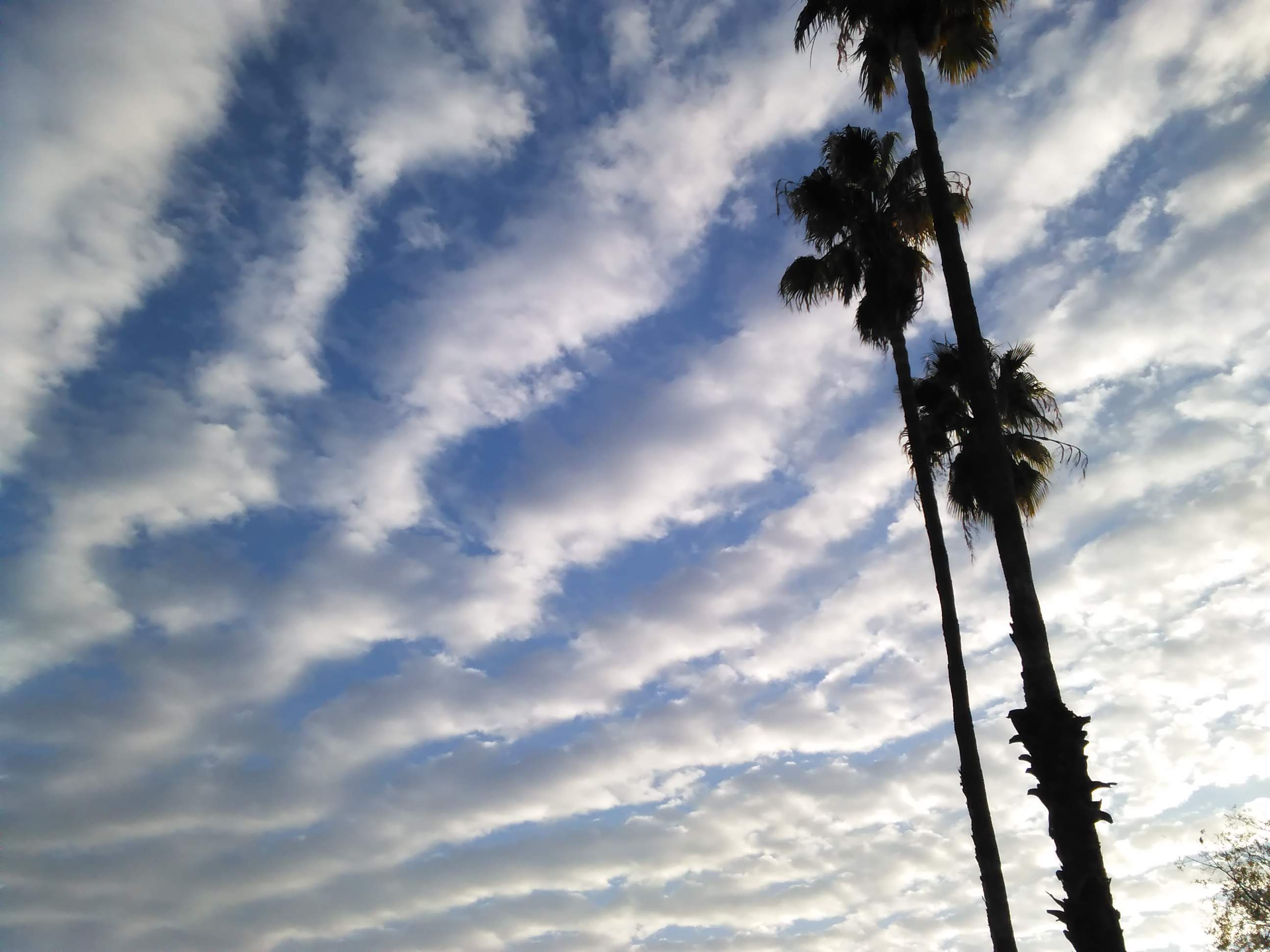 Clouds - 10-23-2021 1.jpg