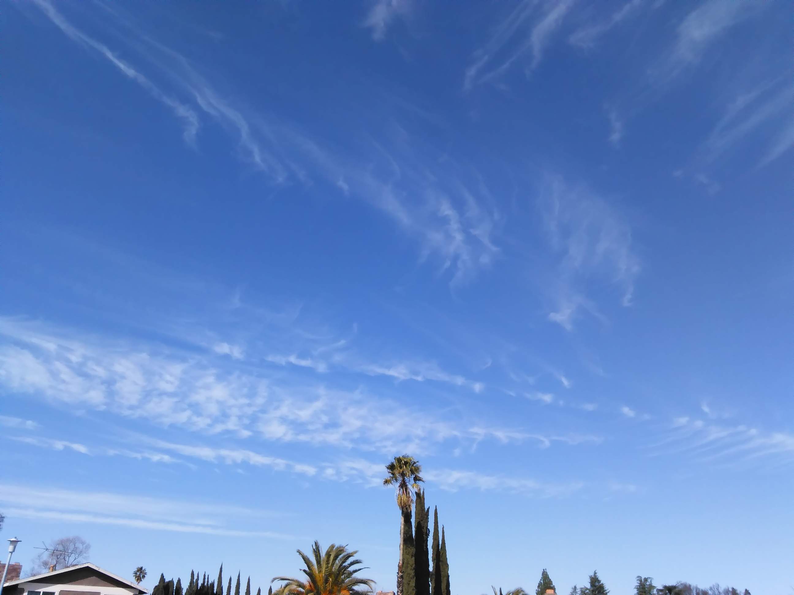 Clouds - 2-25-2021 1.jpg