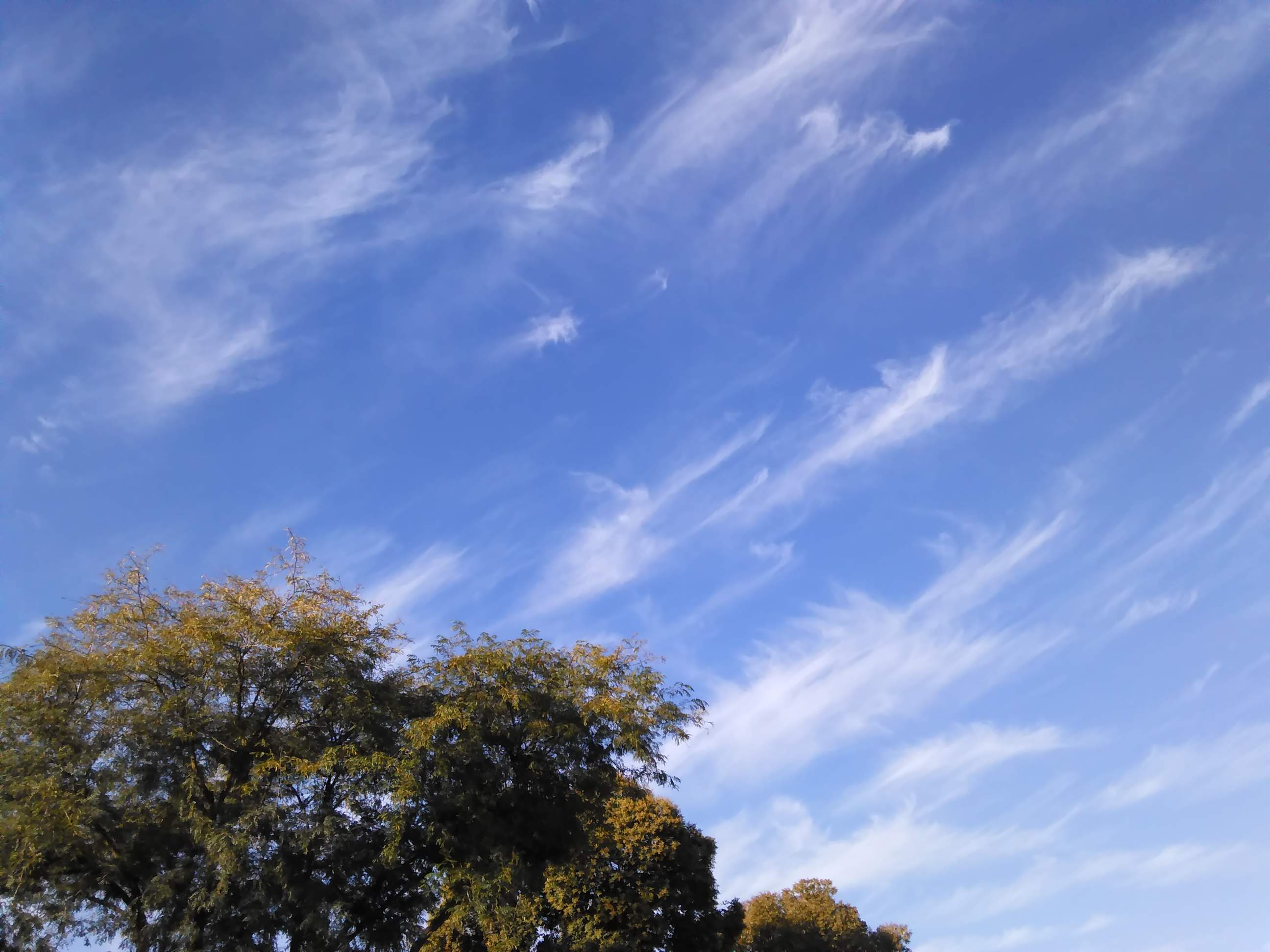 Clouds 2 - 9-14-2018.jpg