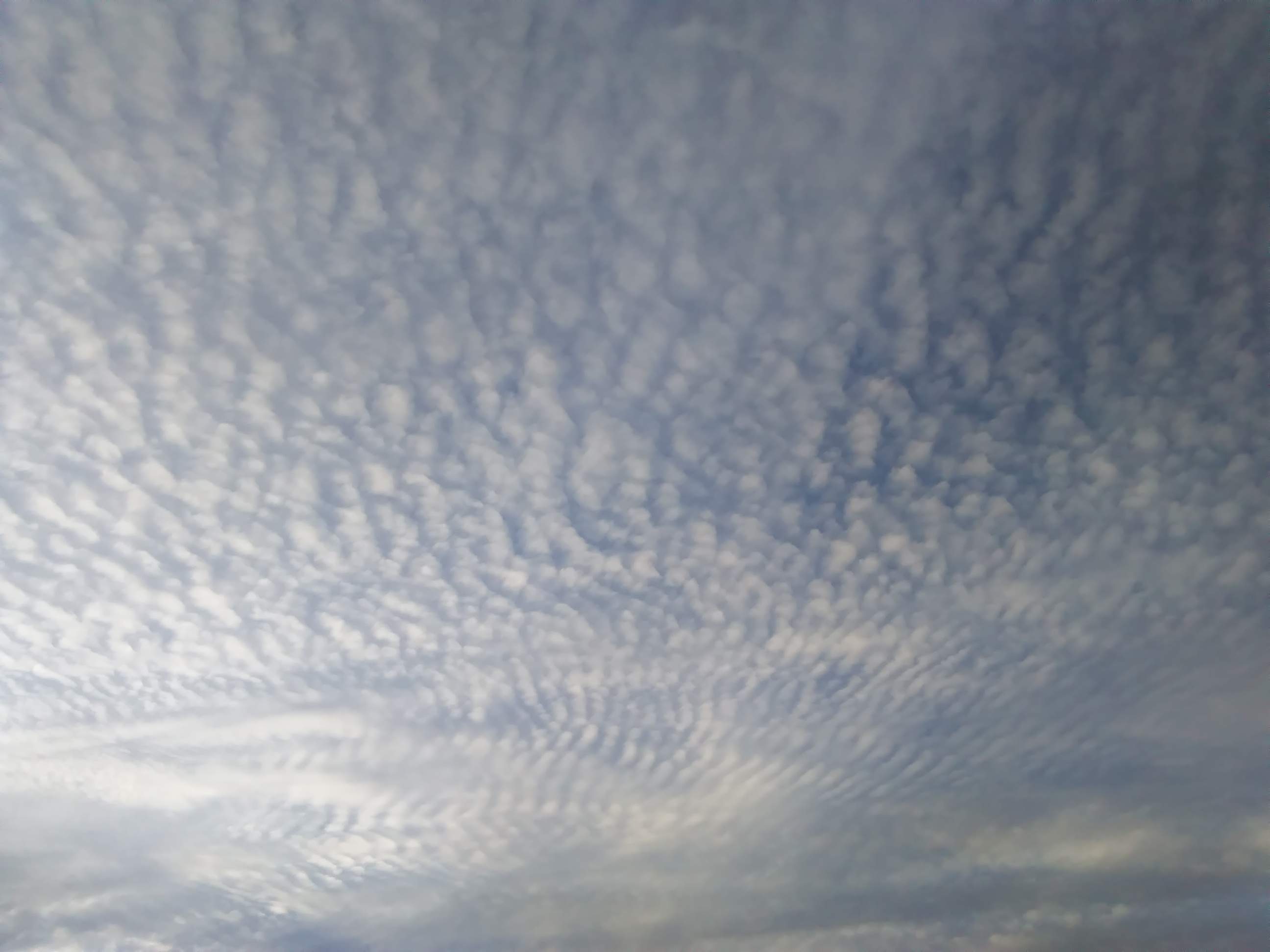 Clouds 3 - 1-3-2019.jpg