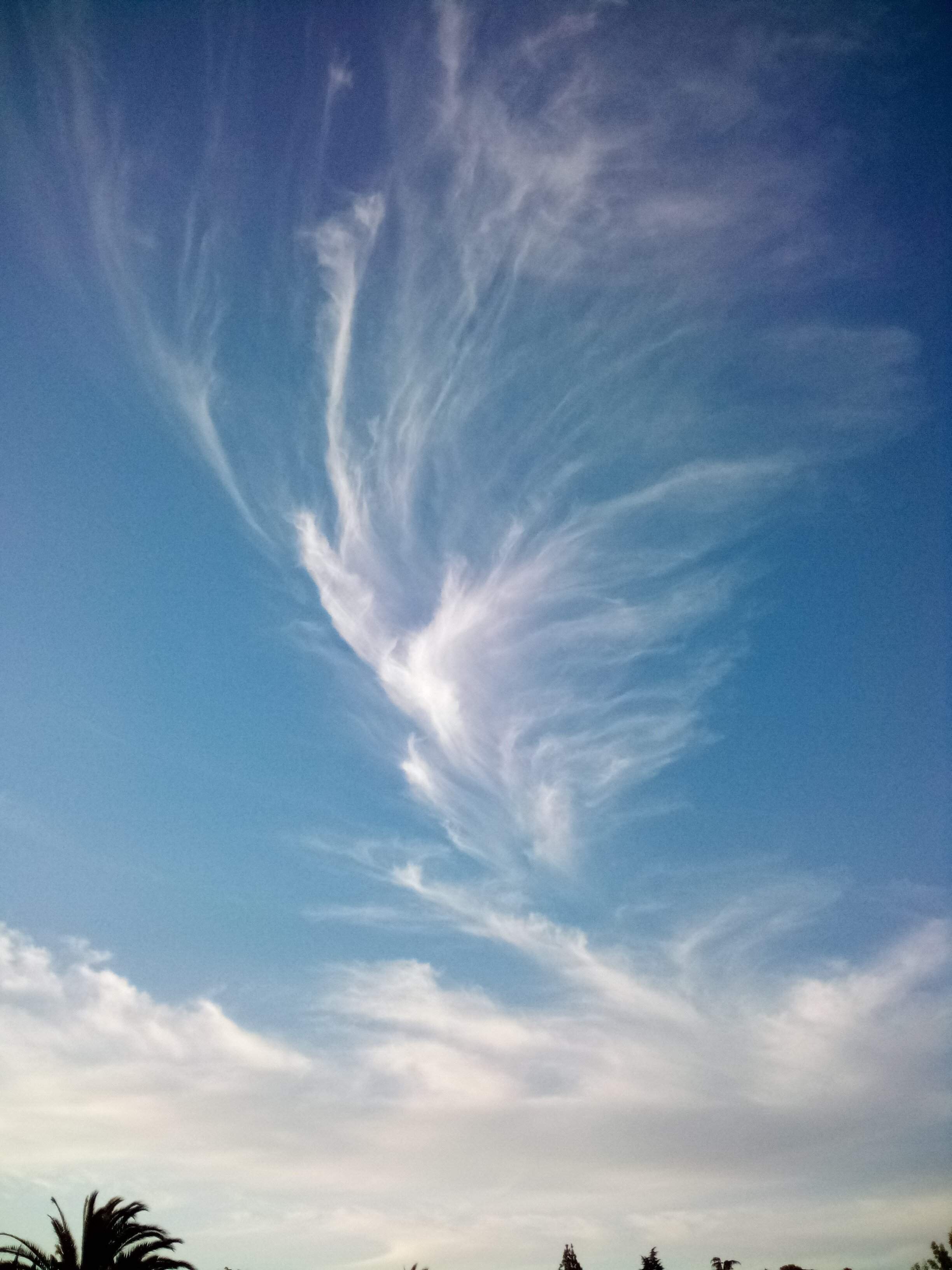 Clouds - 5-22-2022.jpg