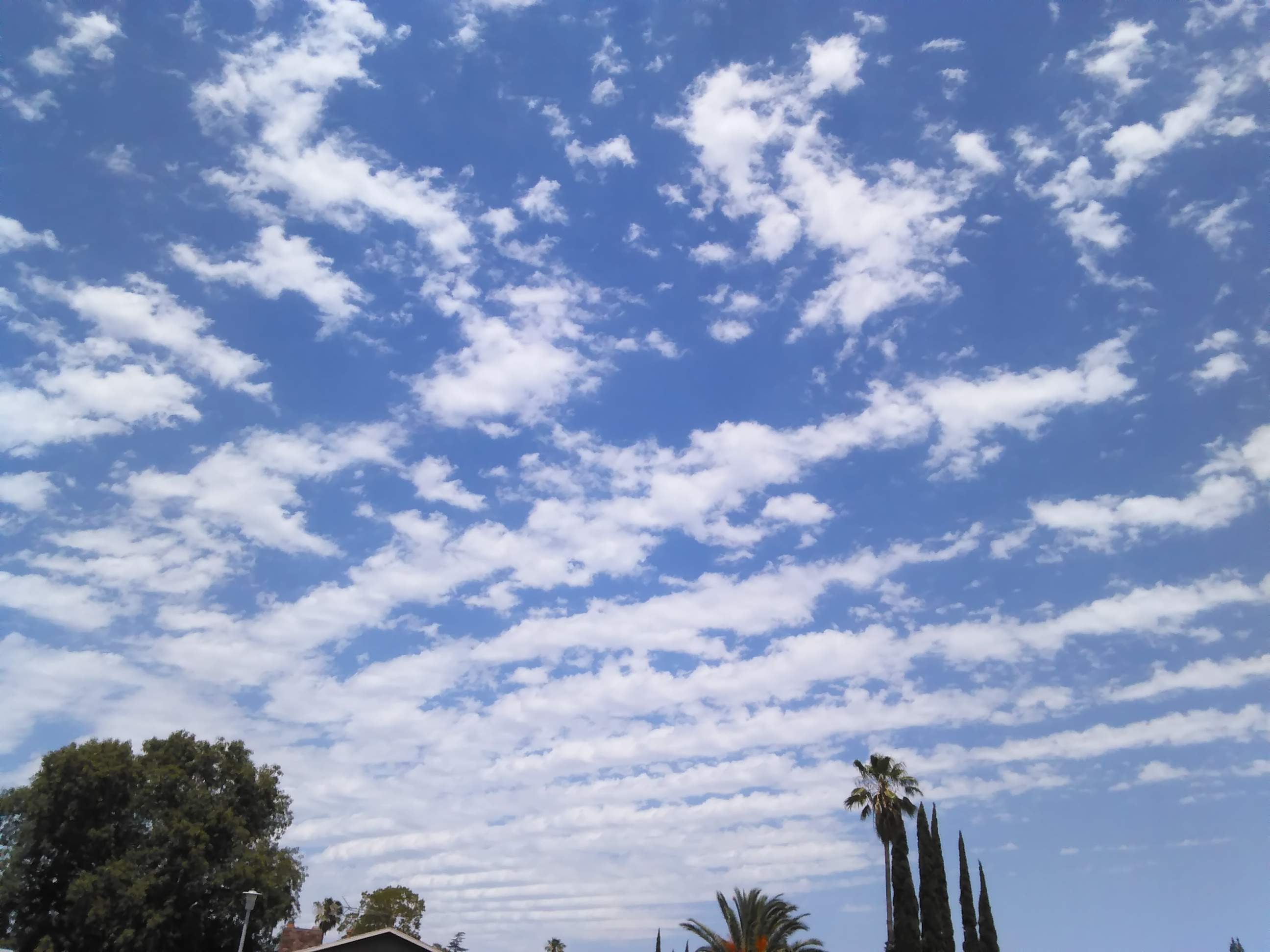 Clouds - 6-21-2021 1.jpg