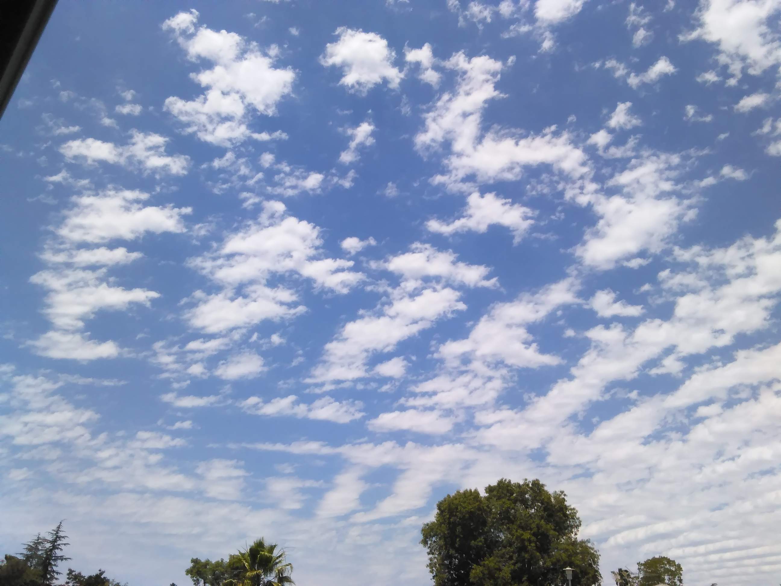 Clouds - 6-21-2021 2.jpg