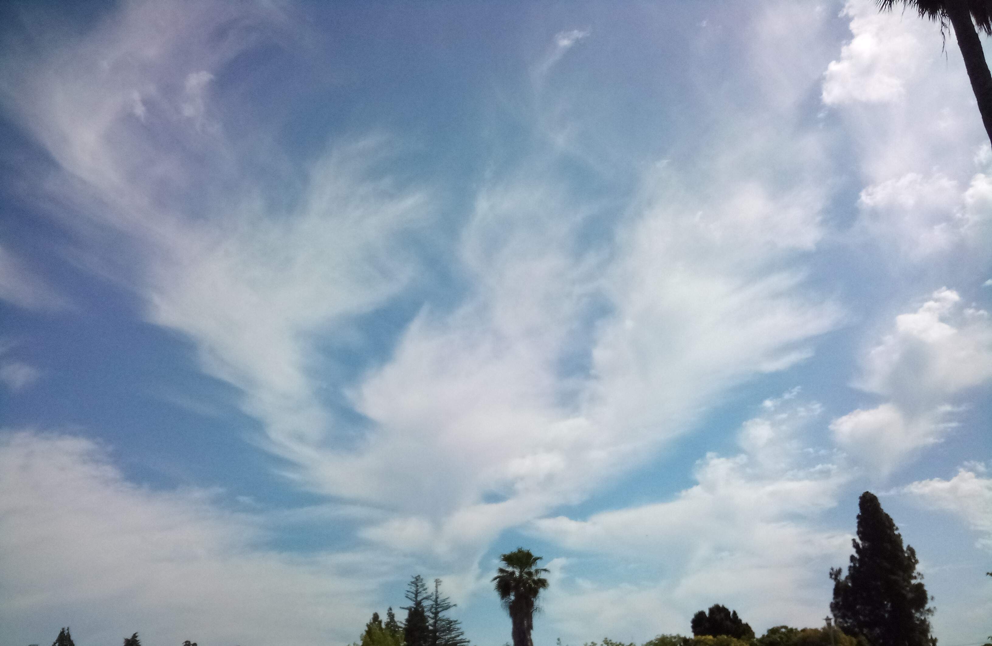 Clouds - 6-24-2023.jpg