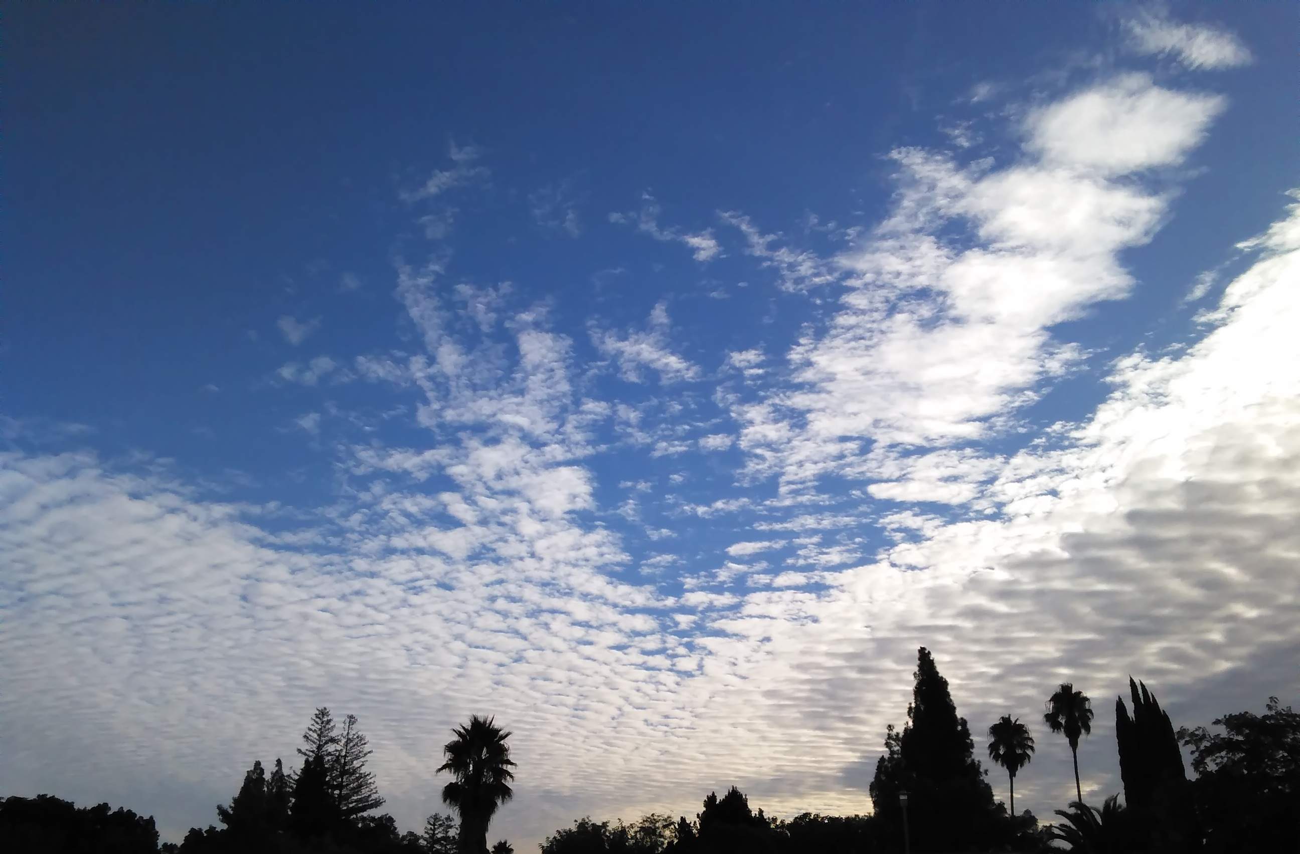 Clouds - 9-13-2018.jpg