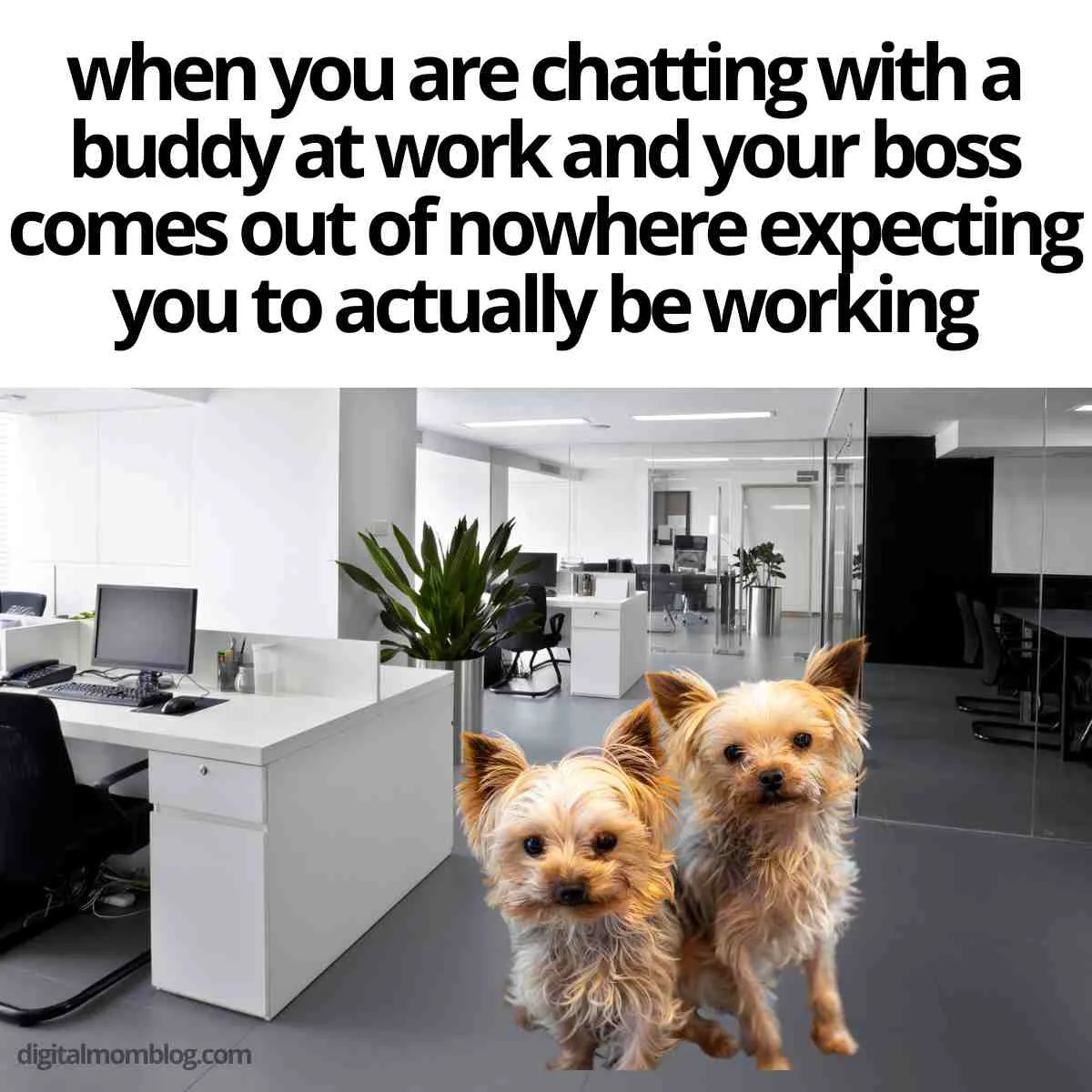 co-worker-meme.jpg-1356467244.webp