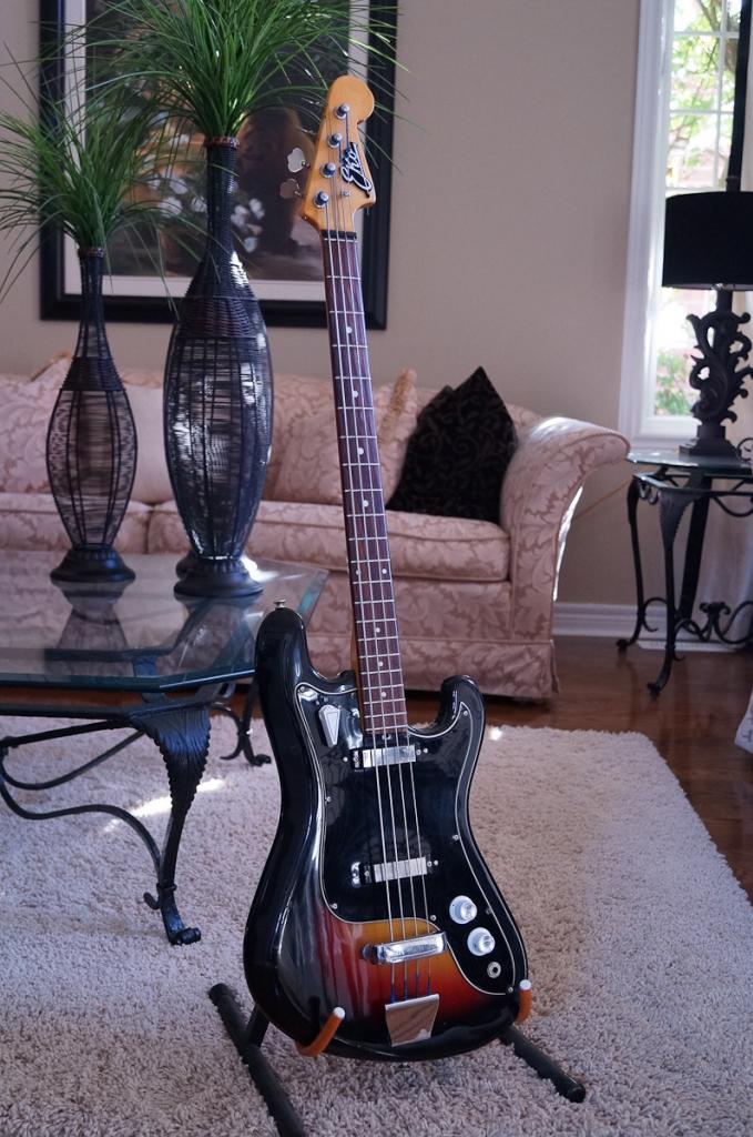 Cobra16_A_zps5df670a6.jpg