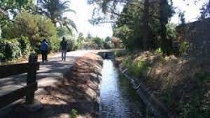coco  canal.jpeg