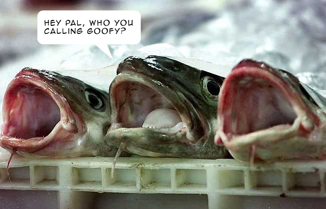 cod.jpg