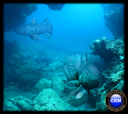 coelacanth_depths_002.jpg