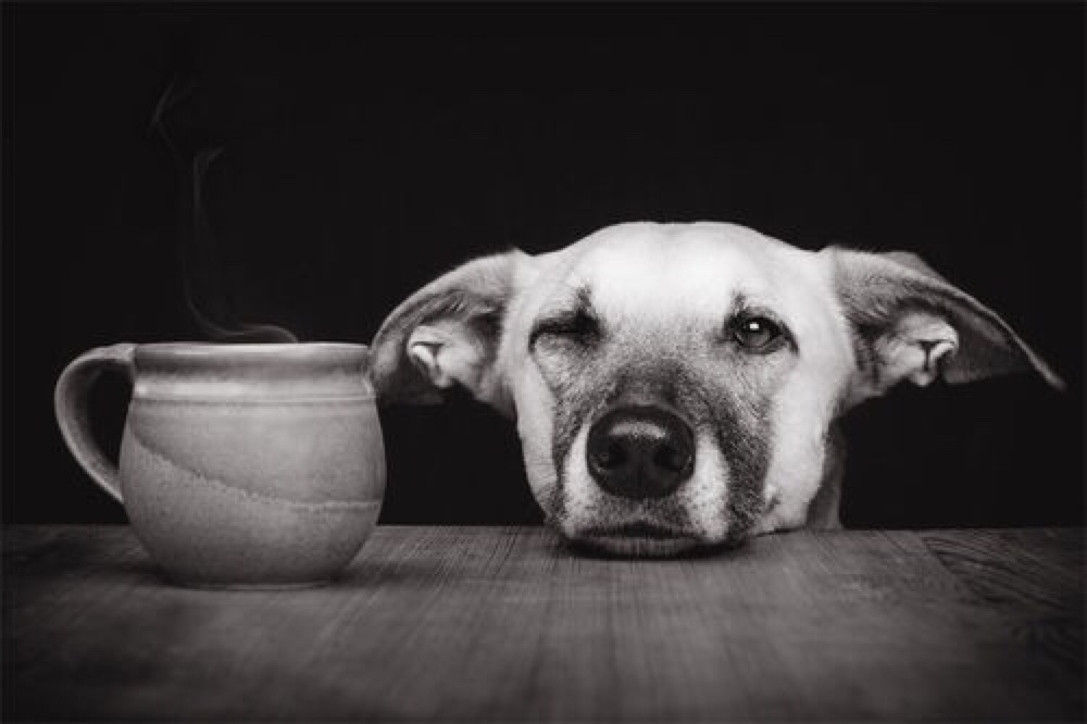 coffee-8.jpg