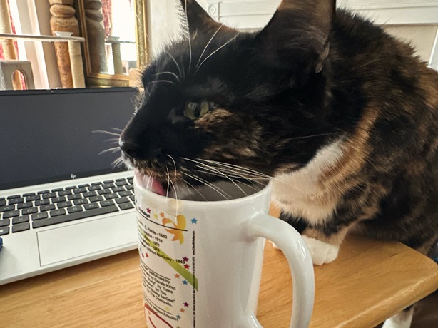 coffee ct.jpg