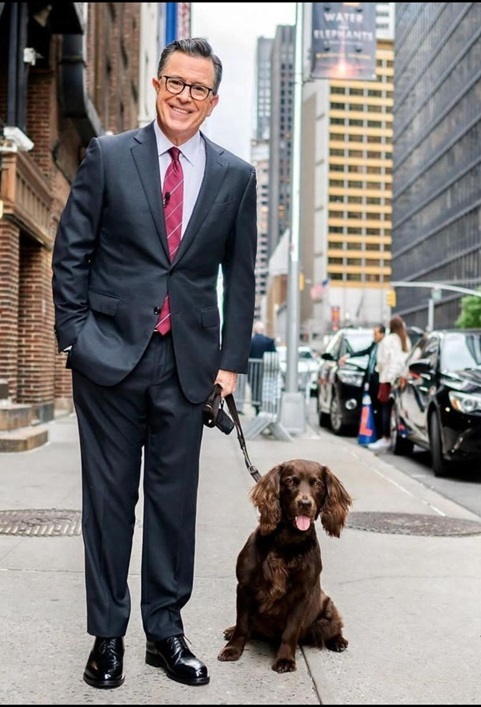 colbert dog.jpg