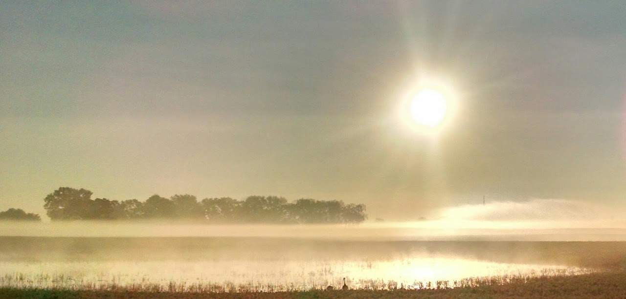 cold sunrise.JPG