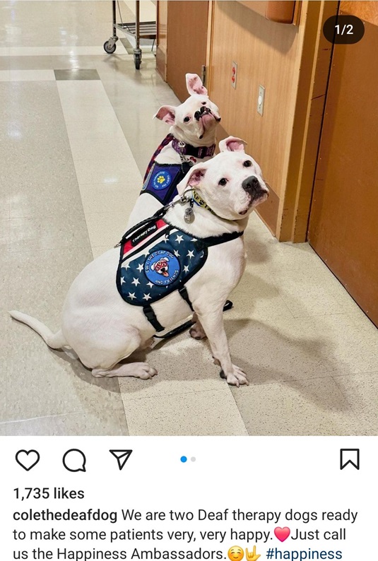cole and pup.jpg