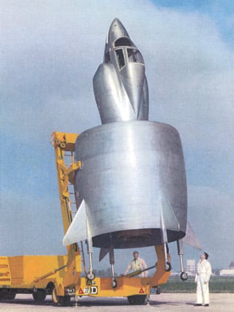 coleoptere.jpg