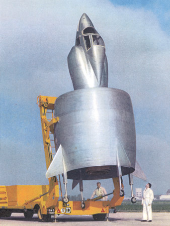 coleoptere.jpg
