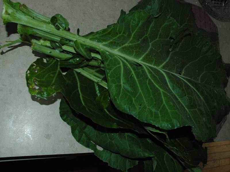 collards.jpg