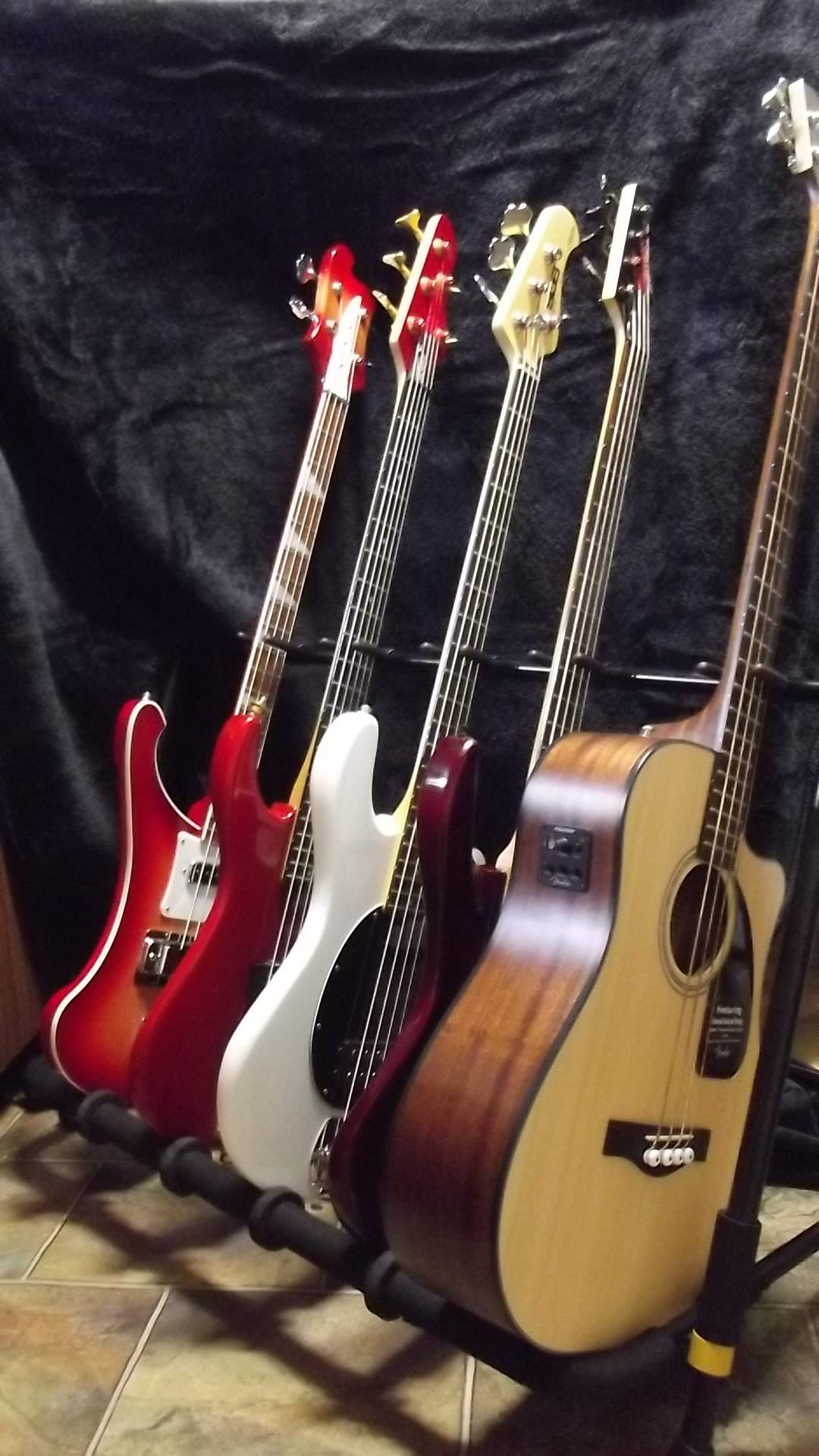 Collection In Rack 3.JPG