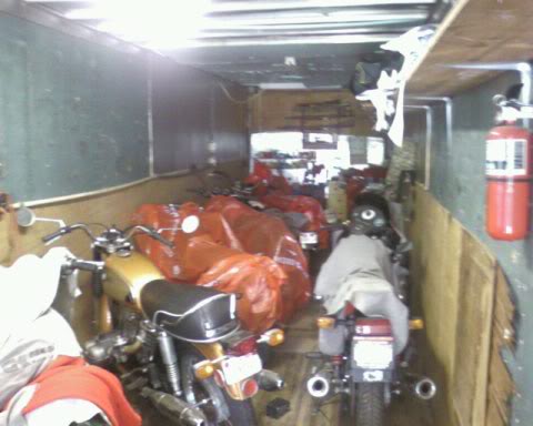 collection.jpg