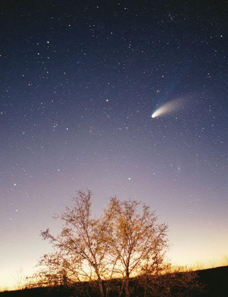 comet-haley.jpg