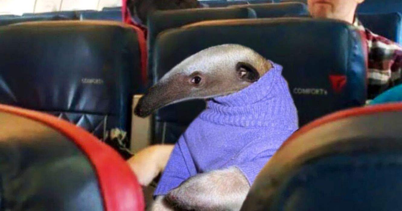 comfort 4.jpg