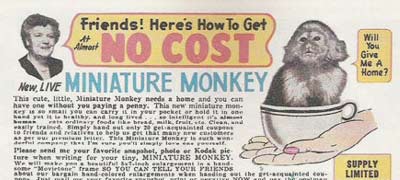 comic-book-ads-monkey.jpg