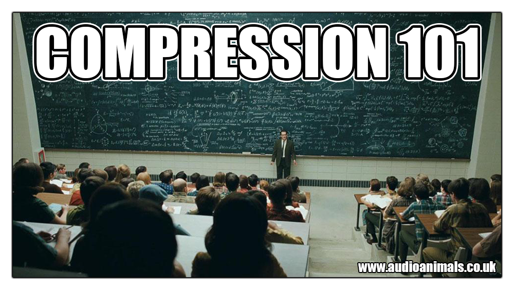 compression-101-audio-animals-memes.png