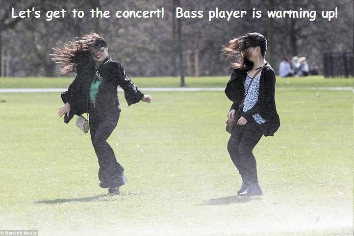 concert.jpg