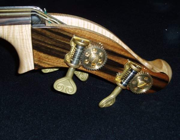 condino stubby scroll.jpg