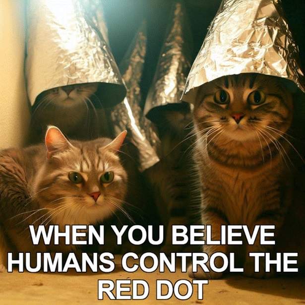 conspiracy cat.jpg