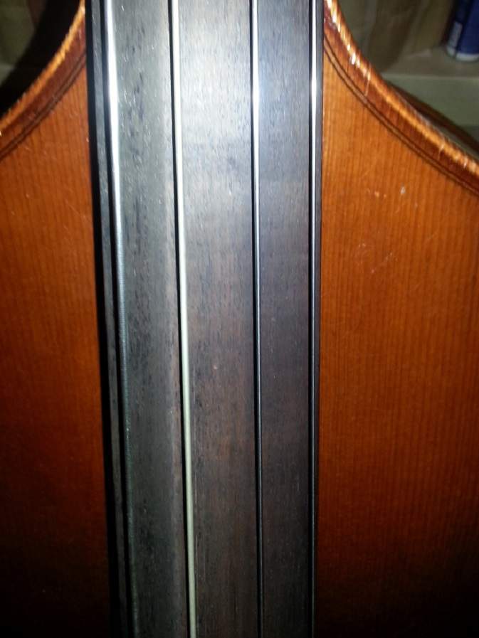 contrabas 4.jpg