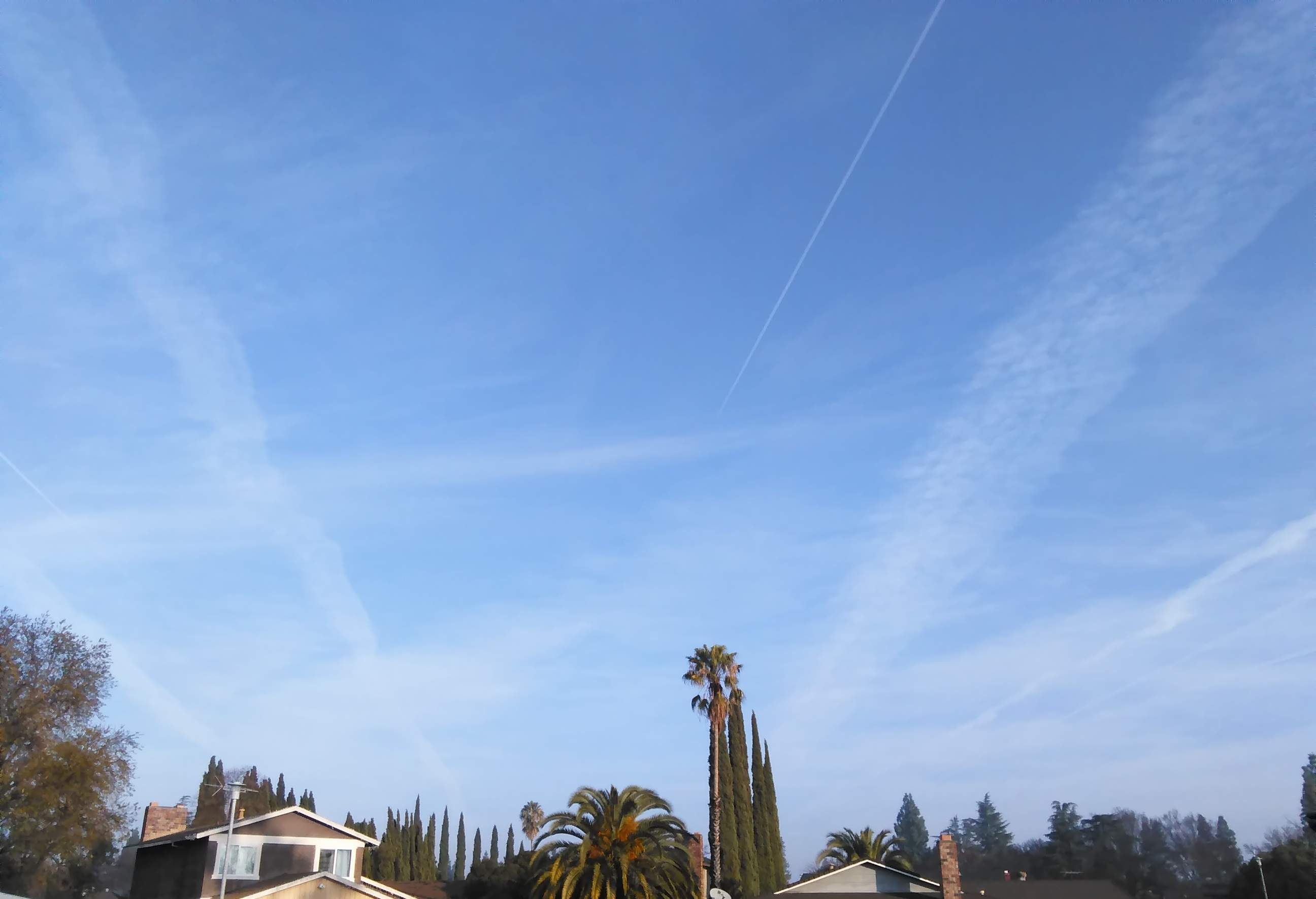 Contrails - 1-2-2019.jpg