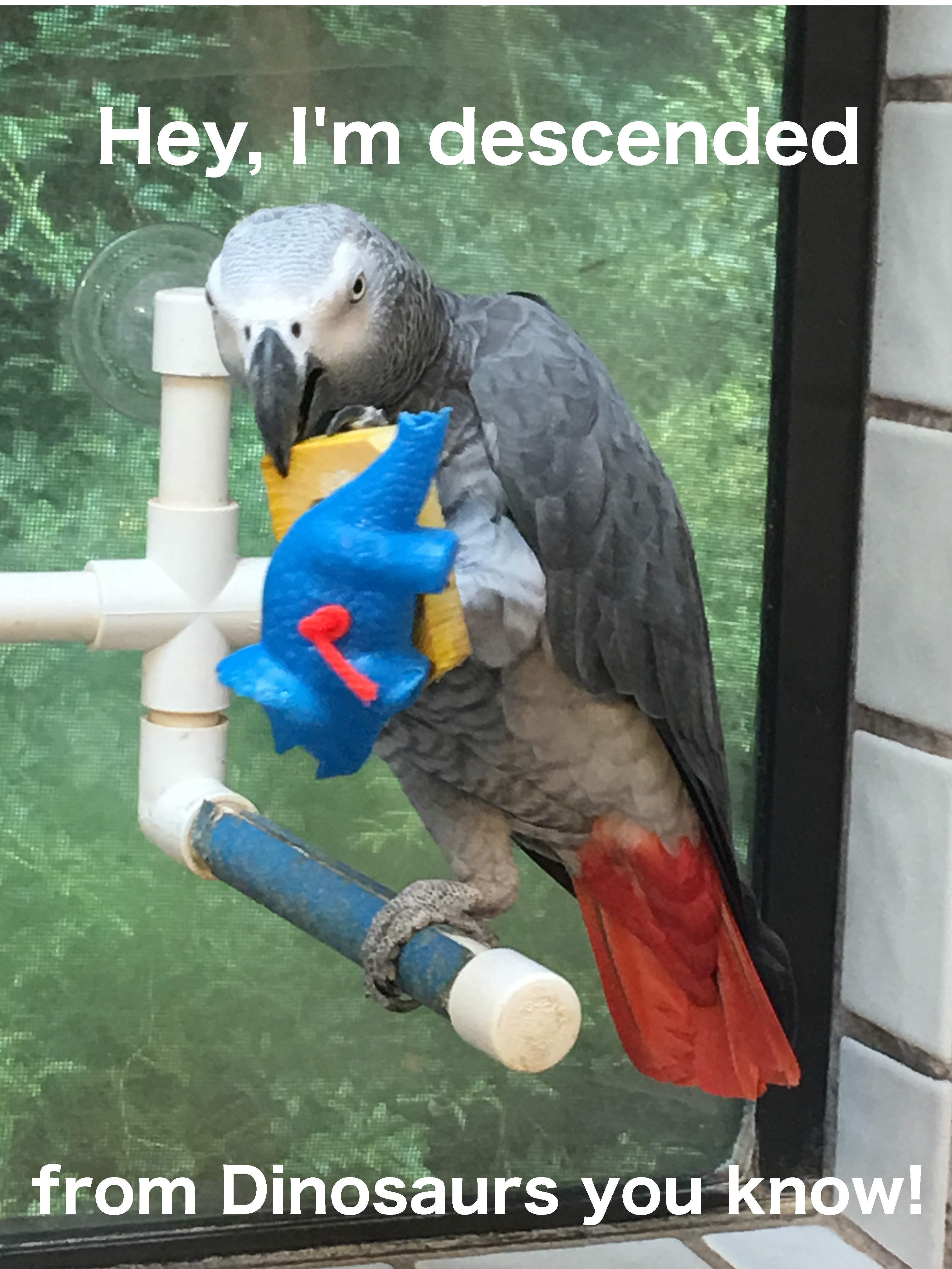 CookieTheDinoKiller.JPG