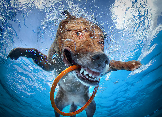cool-photography-2.jpg