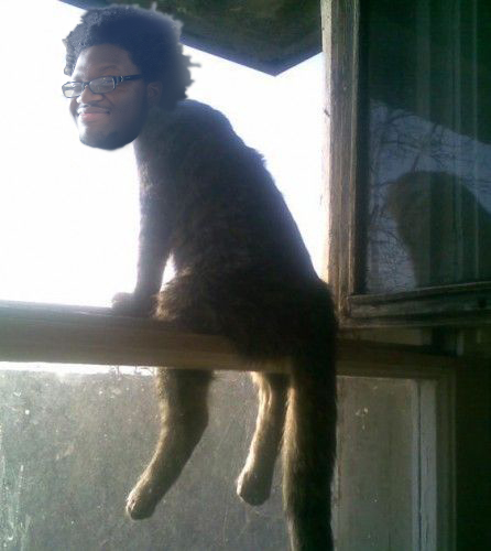 coolcat.jpg