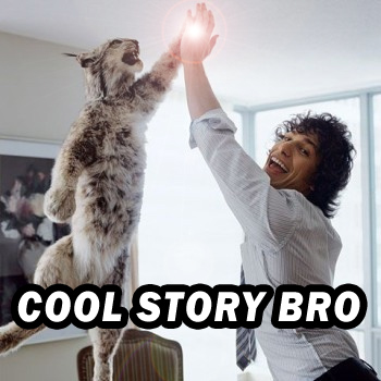 CoolStoryBro.jpg