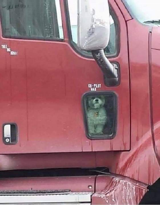 copilot max.jpg