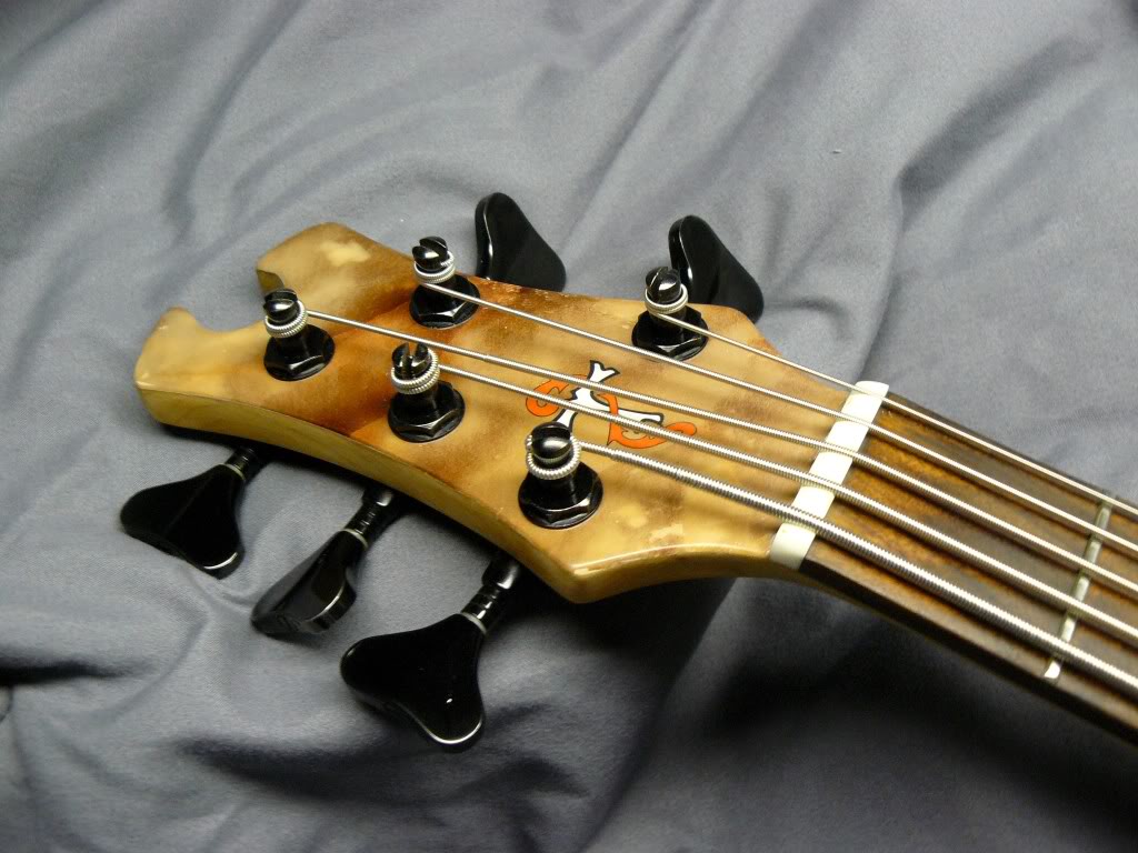 CopyofheadstockAFTER.jpg