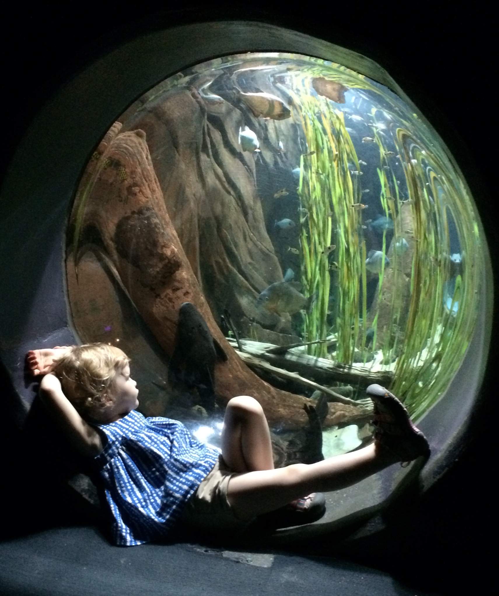 cora aquarium 1.JPG