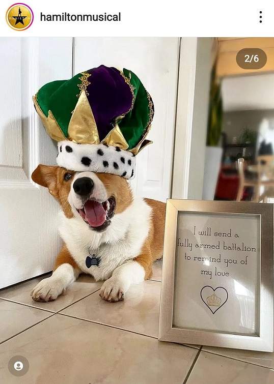 corgi crown.jpg