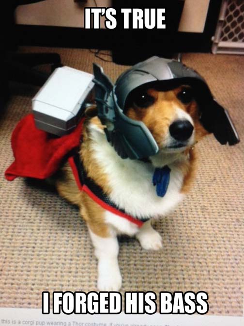 corgithor.jpg