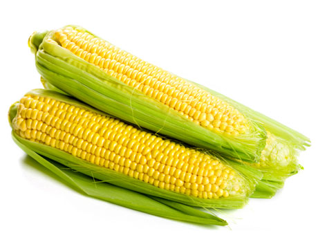 corn.jpg