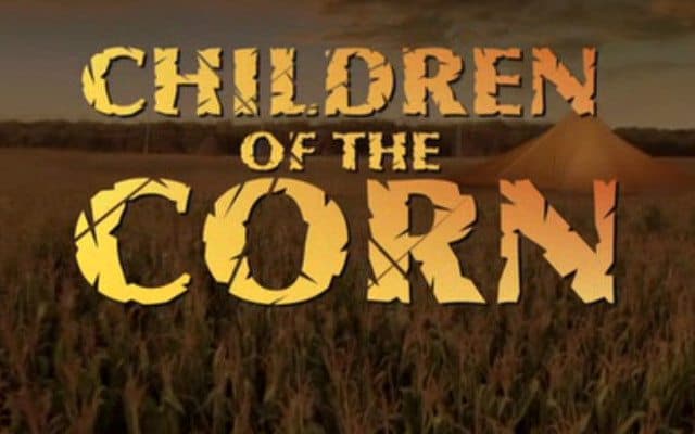 Corn-Pic-1.jpg