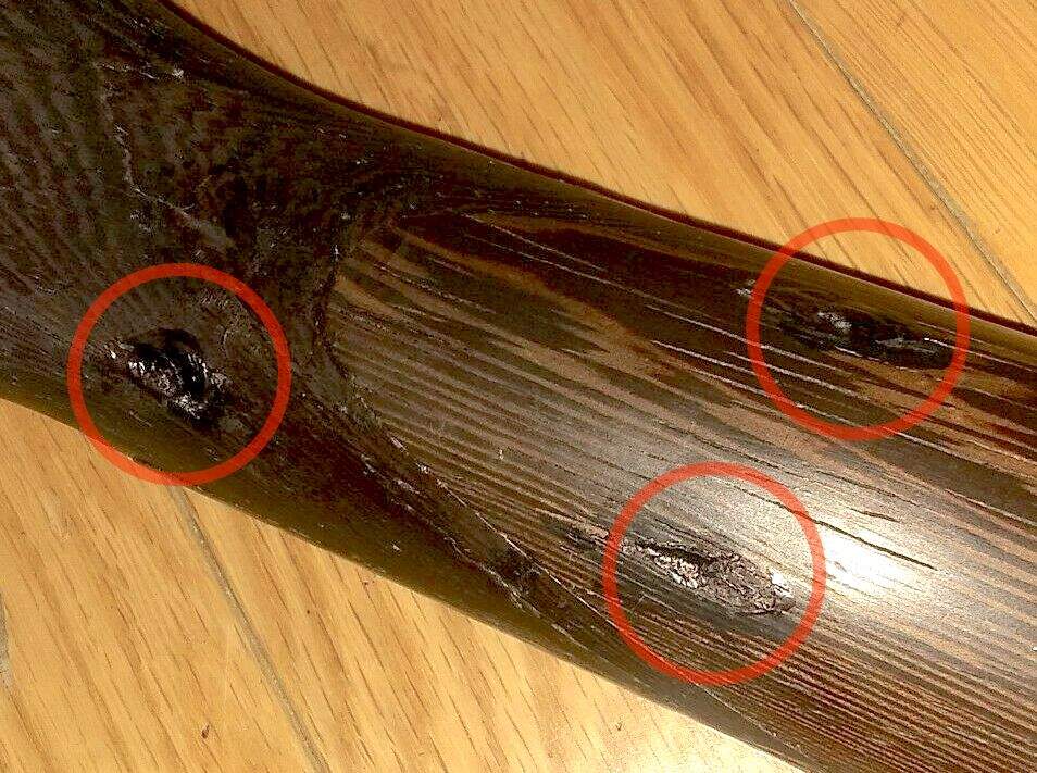cort-5-string-divots.jpg