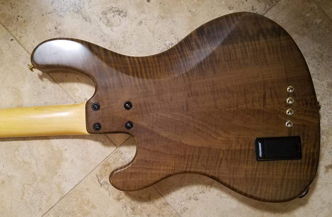 cort basss backside.jpg