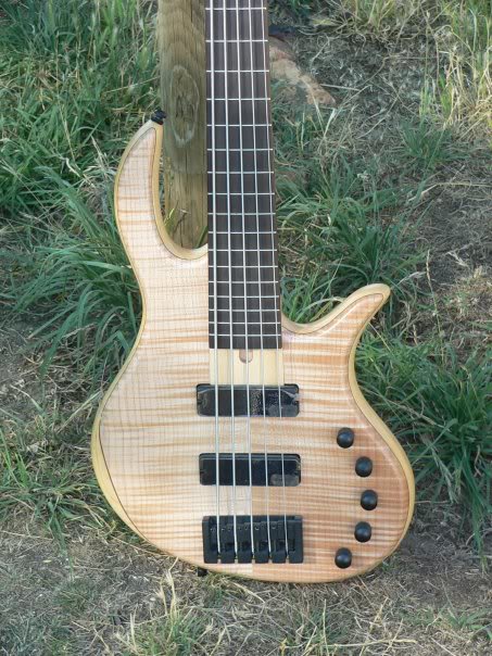 cort.jpg