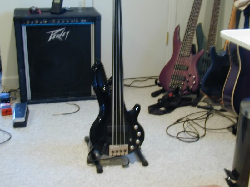Cort.jpg