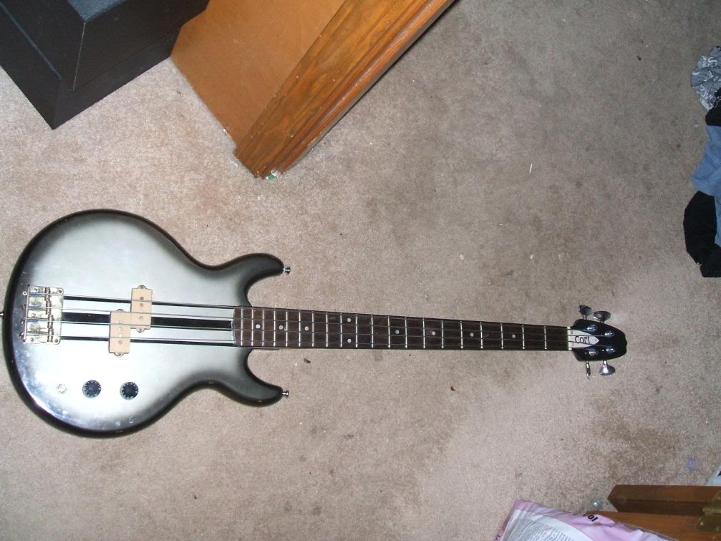 Cortbass3.jpg